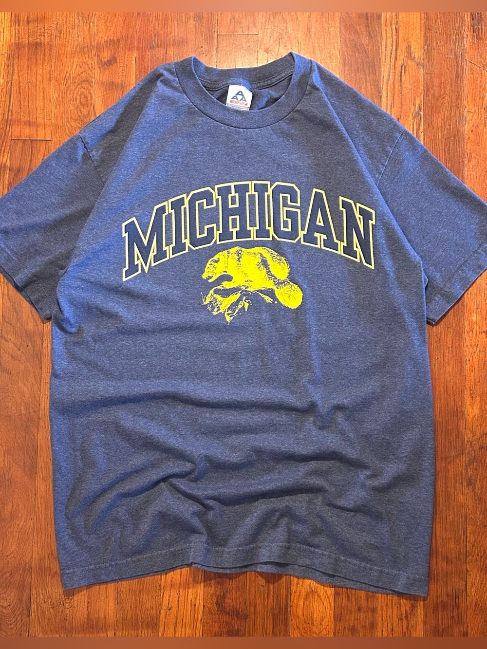 Vintage Y2K University of Michigan Wolverines Blue Yellow Graphic T-shirt L